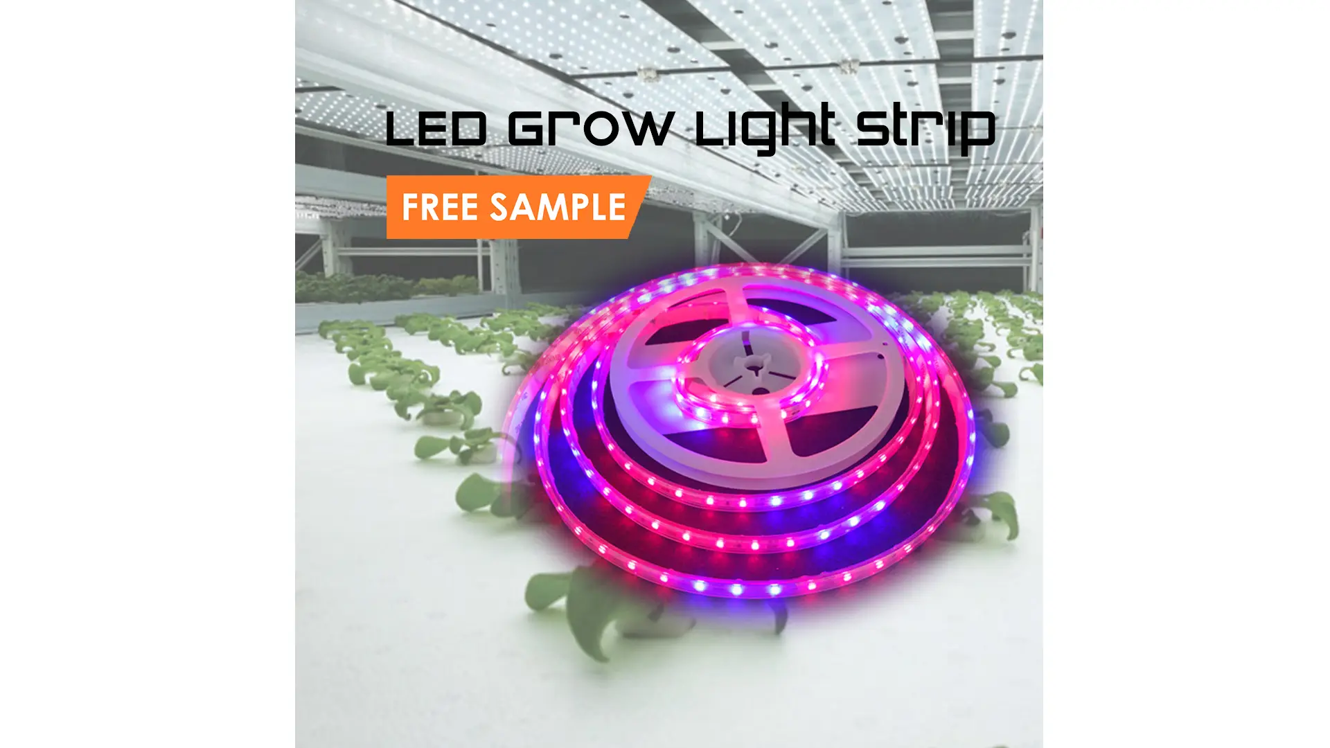 Free Sample Lights Growing Full Spectrum Plant Strips Indoor