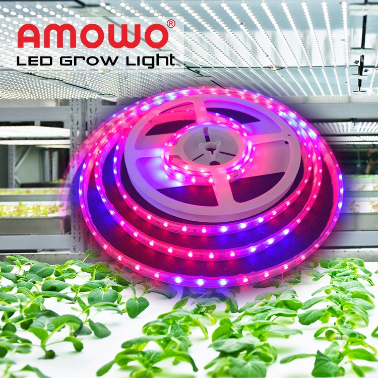 Strisce di luci di coltivazione a led per piante da interno, luce